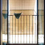 Konukevi Olga